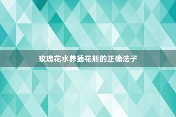 玫瑰花水养插花瓶的正确法子